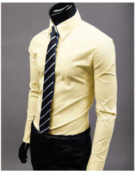 Robin | Men’s Slim Fit Long Sleeve Shirt with Button Up